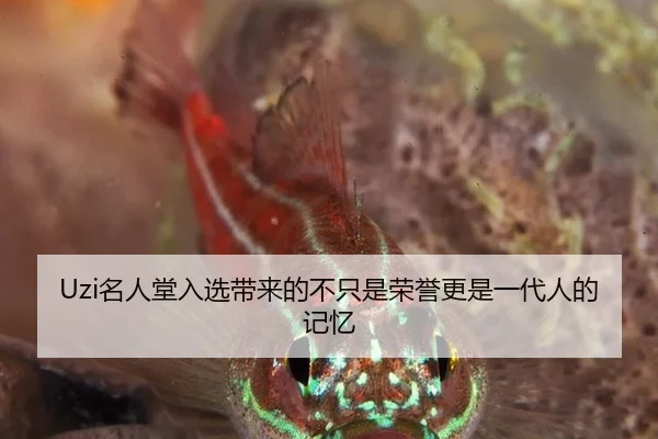 Uzi名人堂入选带来的不只是荣誉更是一代人的记忆